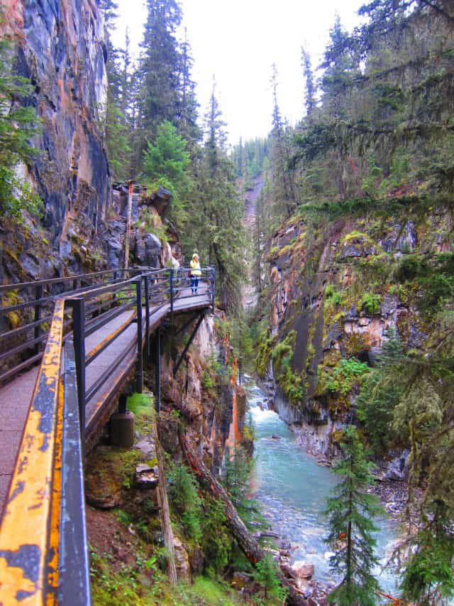 Conquering Johnston Canyon Upper Falls: The Ultimate Guide to Banff’s ...