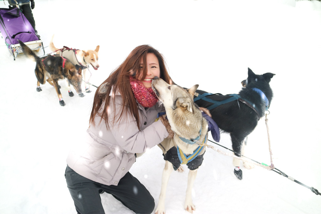 Dog Sled Tour in Lake Louise, Banff National Park