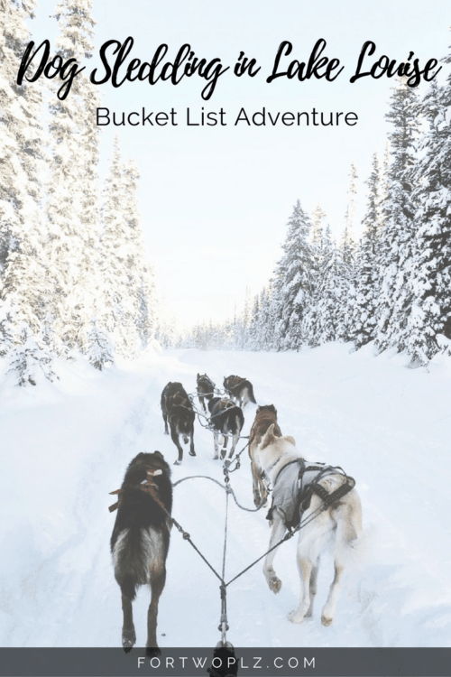 Looking for adrenaline pumping adventure in Lake Louise? Try dog sledding when visiting Banff in winter!