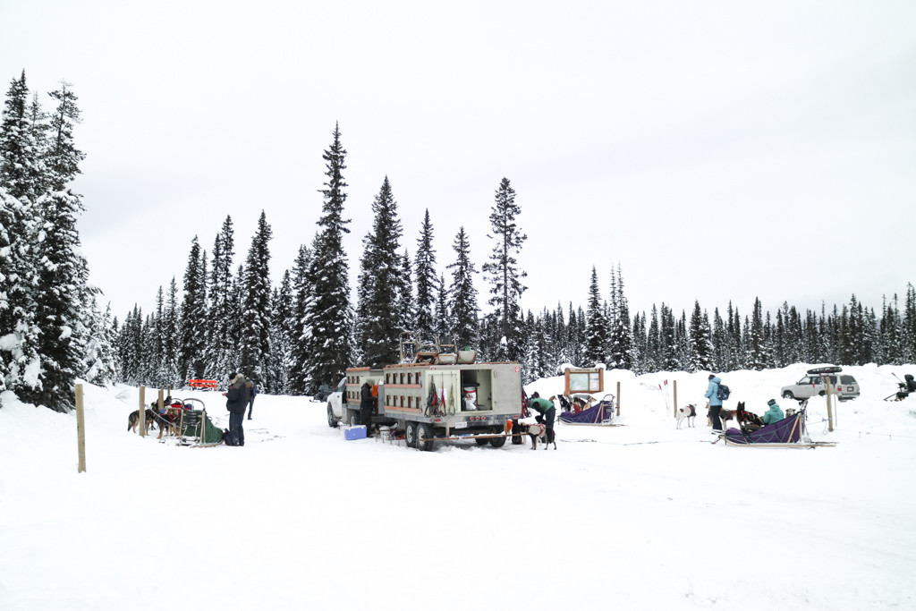 Kingmik dog sledding tour, Lake Louise, Banff