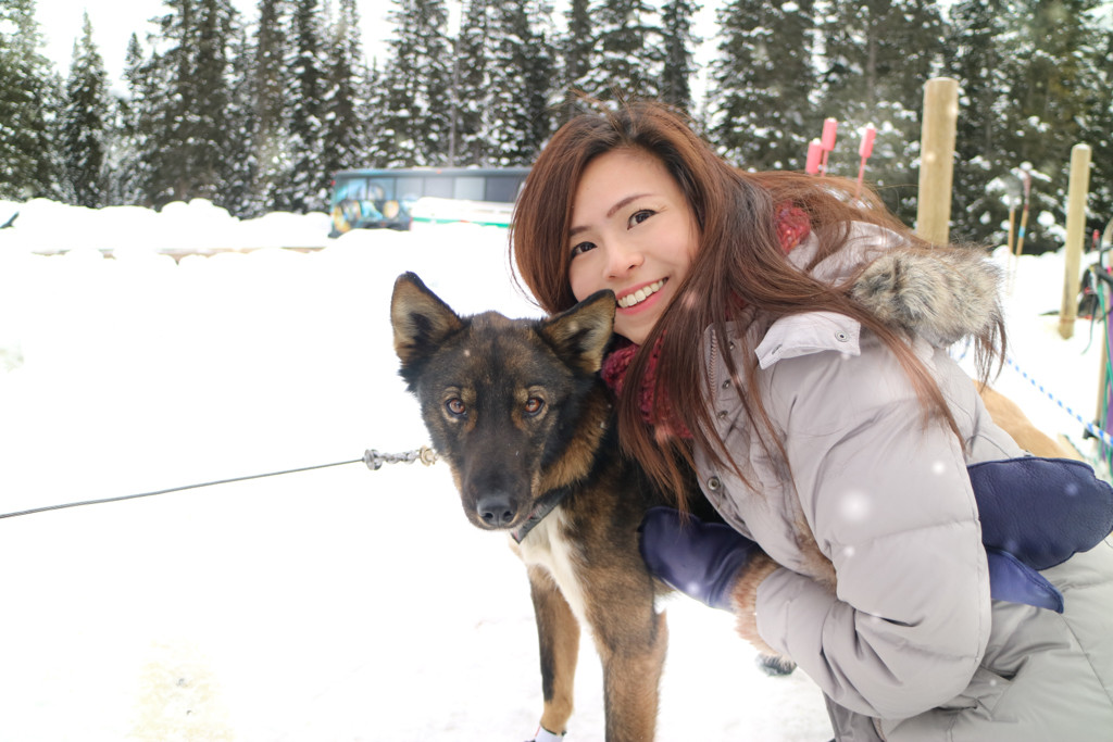 Dog Sledding in Lake Louise, Banff National Park