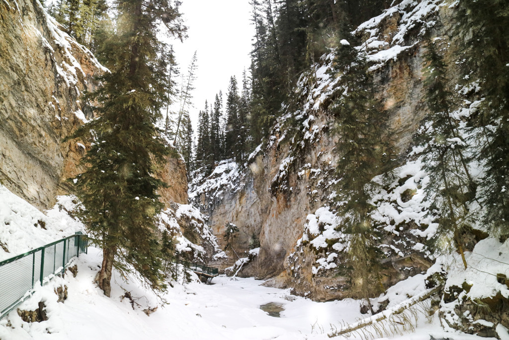 Johnston Canyon Ice Walk, Banff