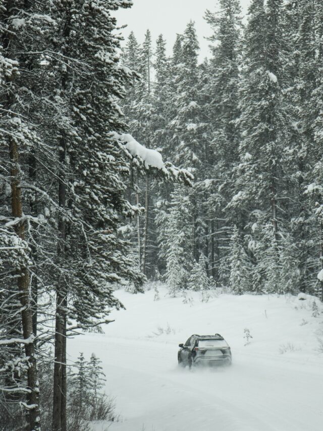 banff national park driving in winter