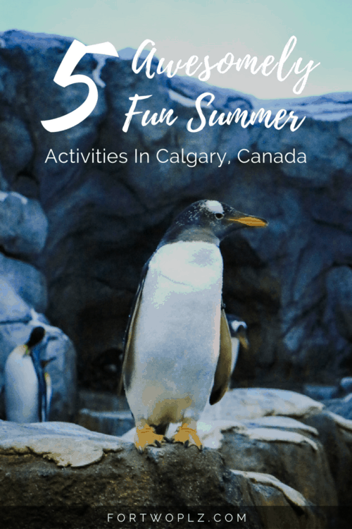 Summer is here and adventure is calling. Wondering what you can do in Calgary? Here are the 5 top activities! 