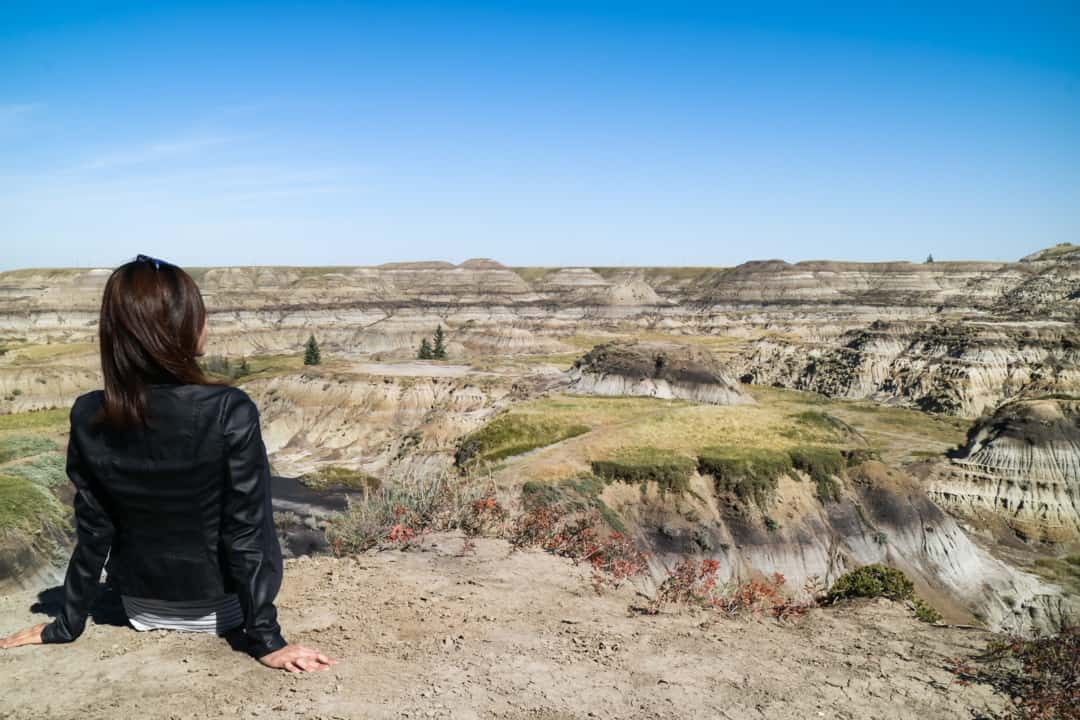 Horseshoe Canyon in Canadian Badlands (Drumheller), Alberta, Canada