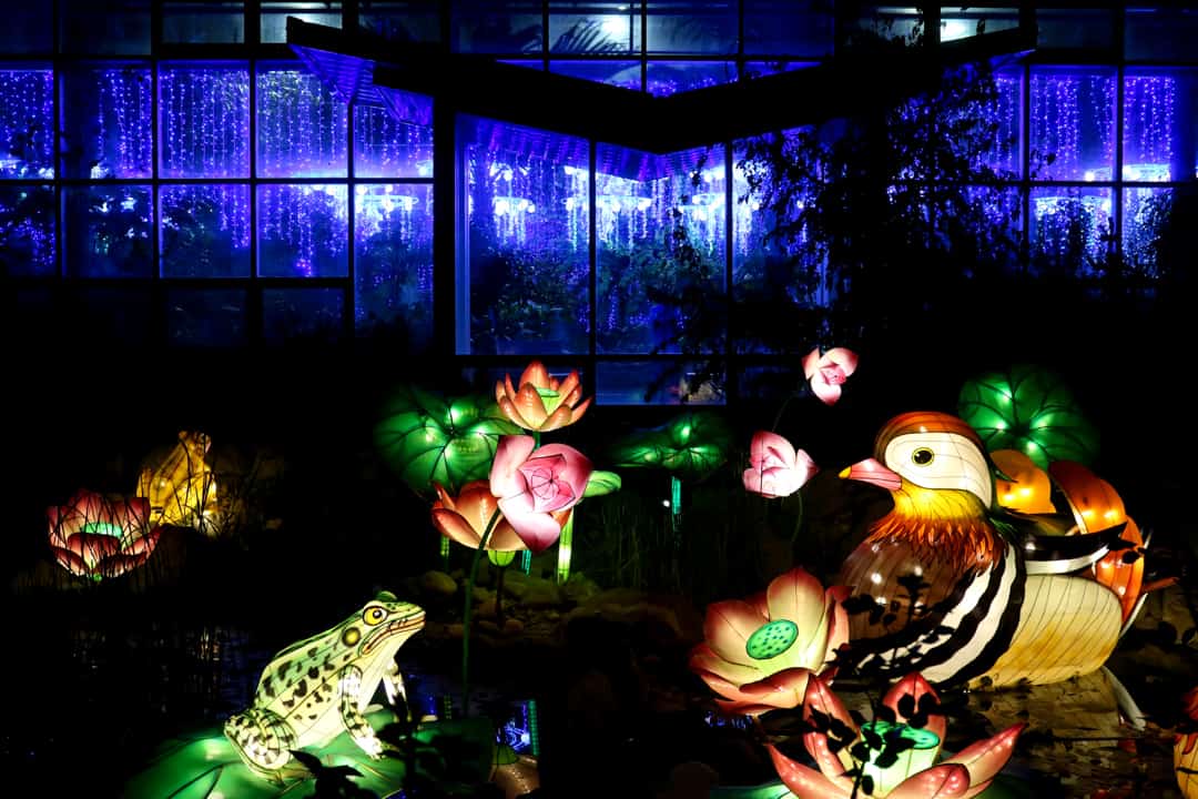 Calgary Zoo Illuminasia, a lantern and garden festival