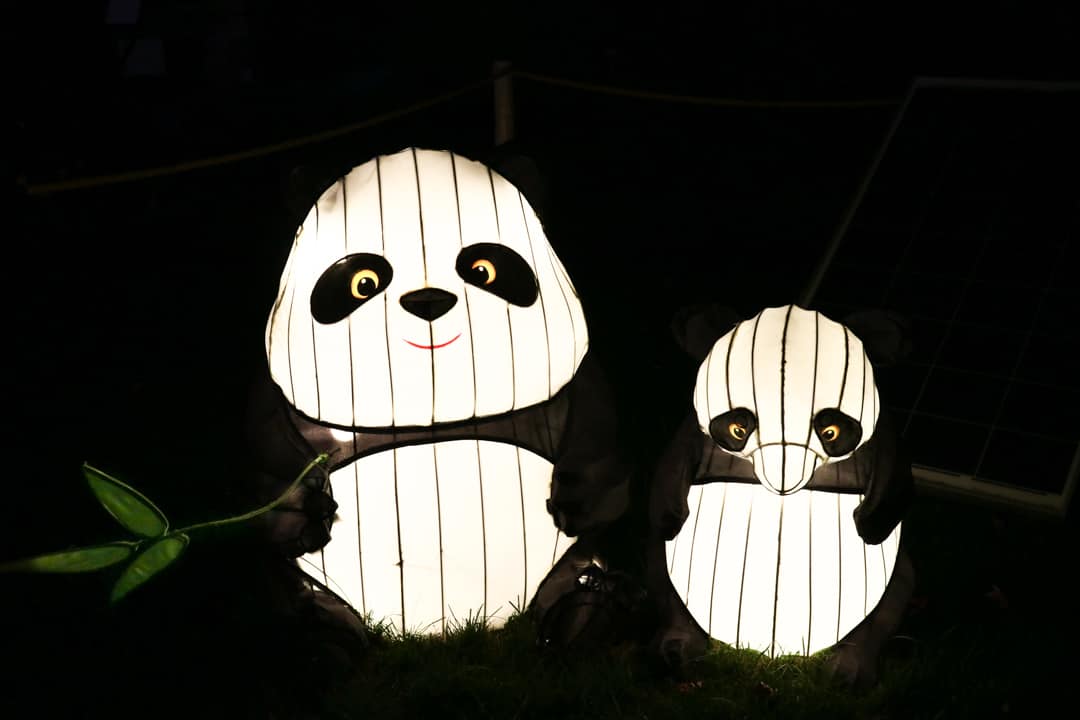 Calgary Zoo Illuminasia, a lantern and garden festival