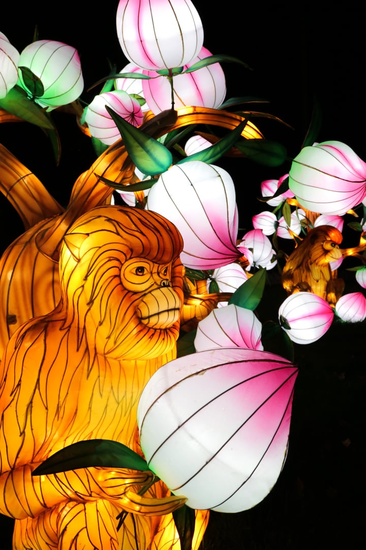 Calgary Zoo Illuminasia, a lantern and garden festival