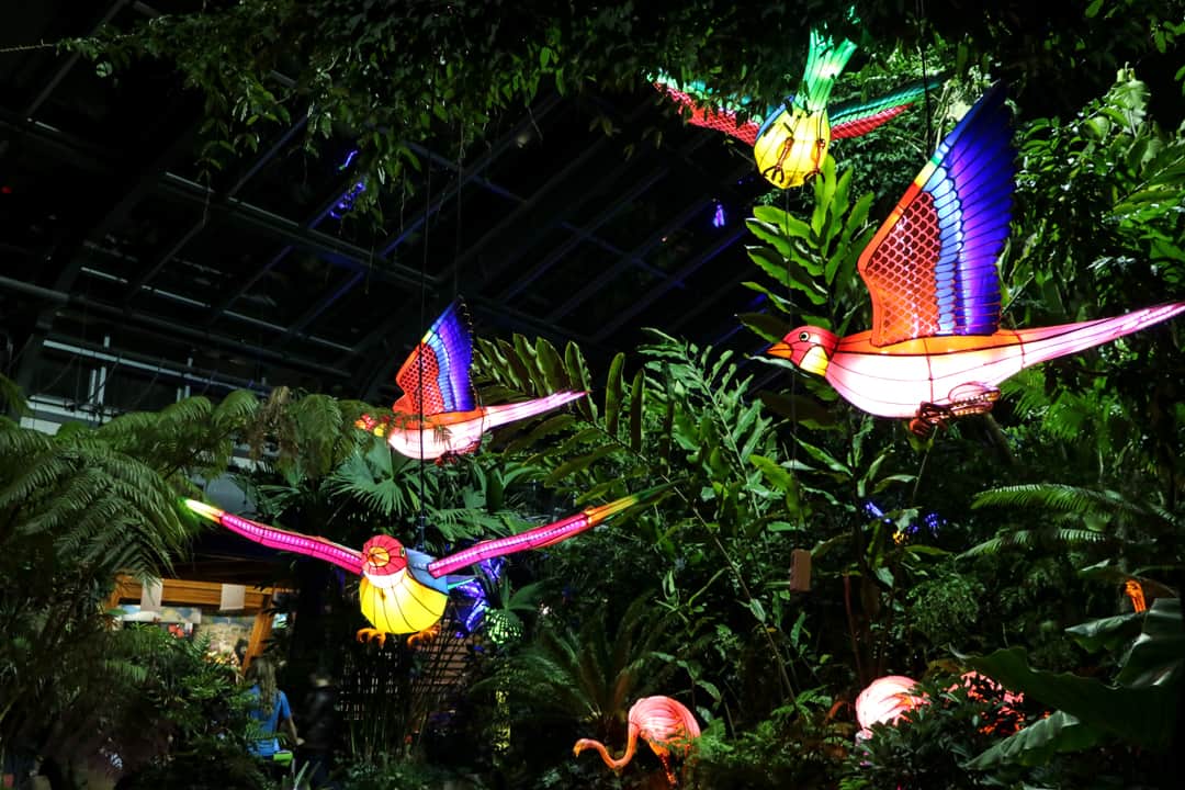 Calgary Zoo Illuminasia, a lantern and garden festival