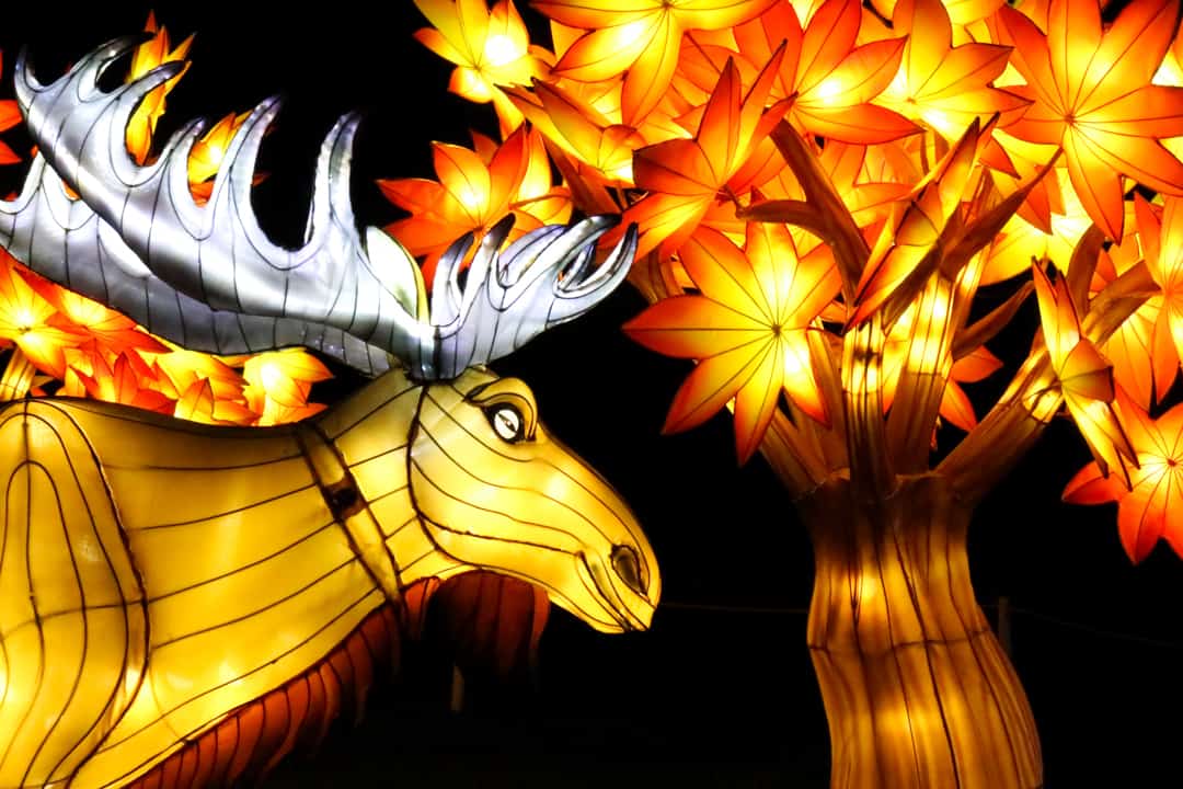 Calgary Zoo Illuminasia, a lantern and garden festival