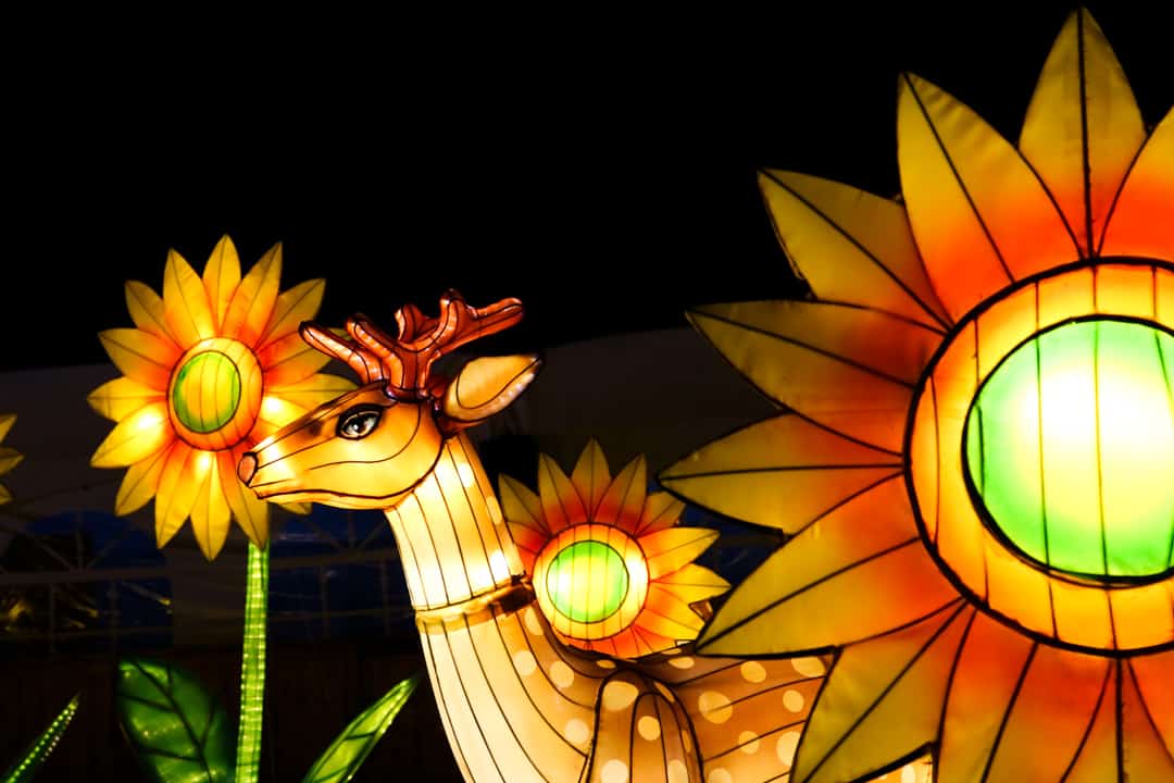 Calgary Zoo Illuminasia, a lantern and garden festival