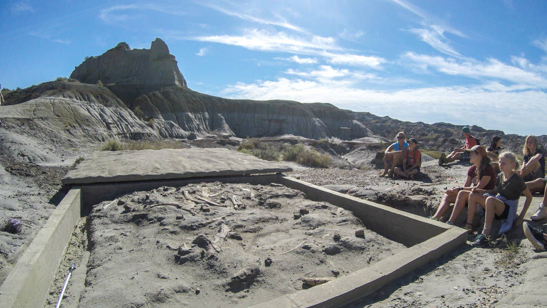 Dinosaur Provincial Park, Alberta, Canada. A UNESCO World Heritage Site