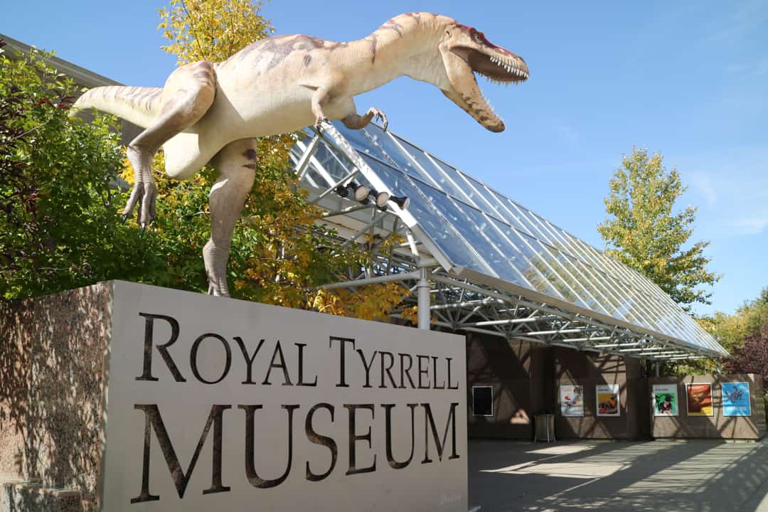 the royal tyrrell museum virtual tour