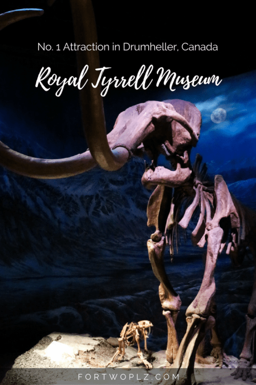 Are you a die-hard dinosaur fan out there? Make Royal Tyrrell Museum a stop on your trip to Canada! With over 130,00 fossils and 40 complete dinosaur skeletons ranging from over 500 million years ago to the more modern mammals, the Royal Tyrrell Museum offers a truly spectacular learning experience for the young at heart!