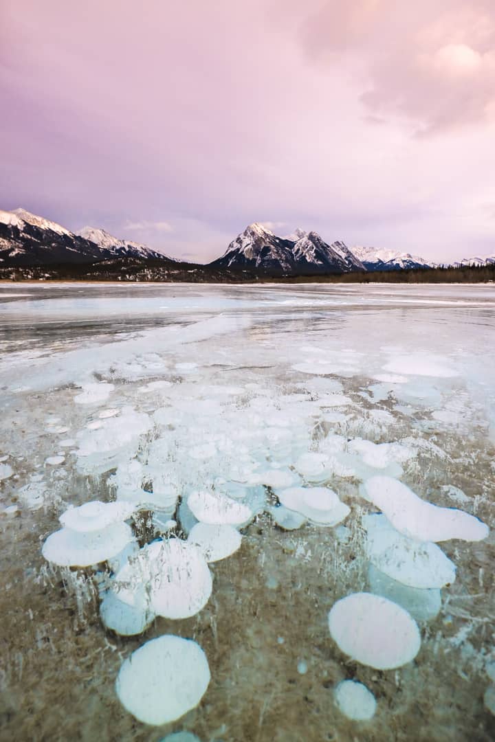 Abraham Lake, Banff, Alberta