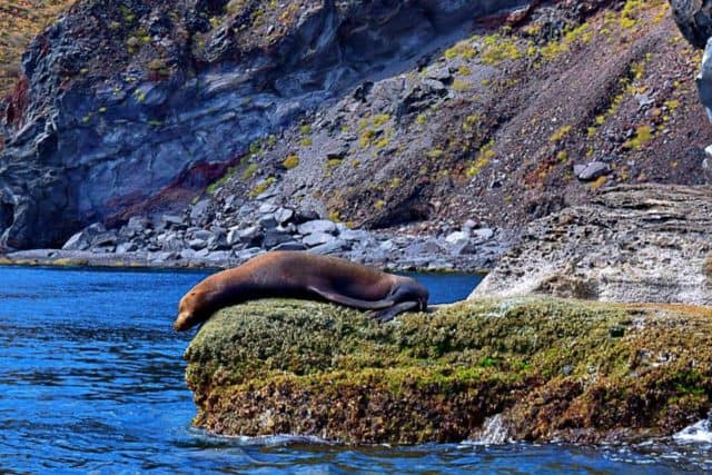 Adventure for adrenaline seekers: diving Loreto Mexico