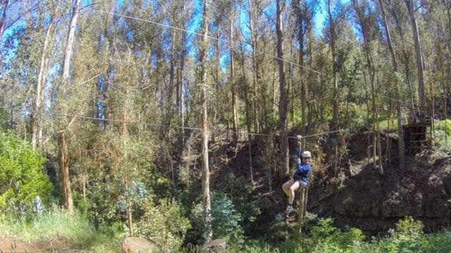 Maui Haleakalā Skyline Zipline