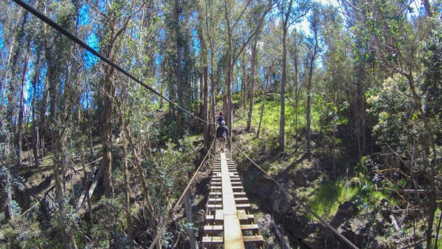 Maui Haleakalā Skyline Zipline