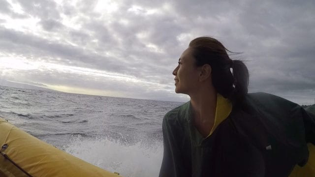Whale Watching Maui