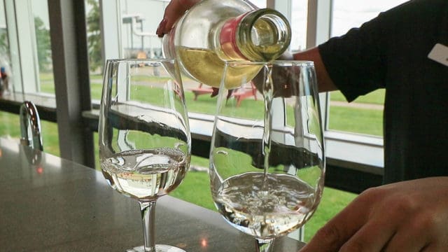 Top Niagara Wine Tasting Tour