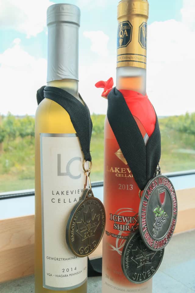 Top Niagara Wine Tasting Tour