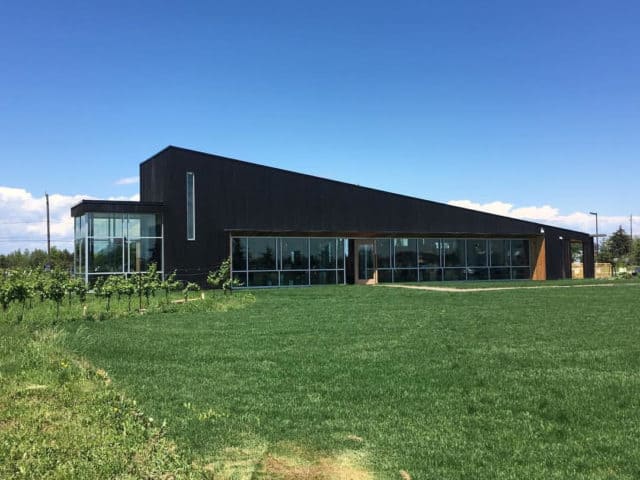 Top Niagara Wine Tasting Tour