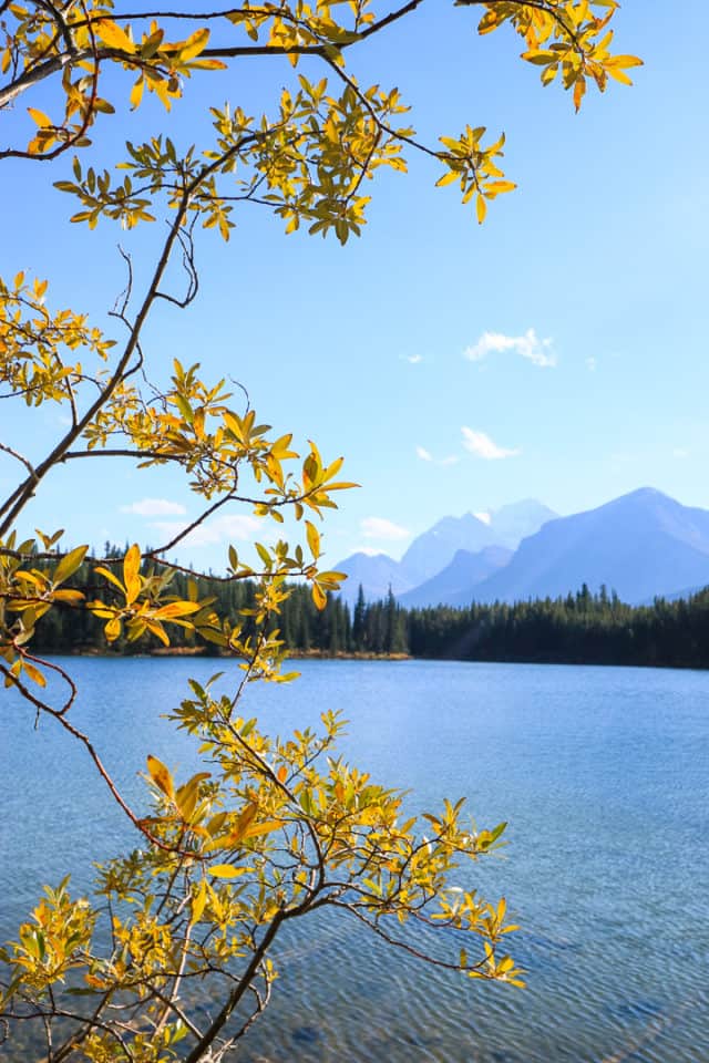 What to do in Banff in fall - Canadian Rockies road trip