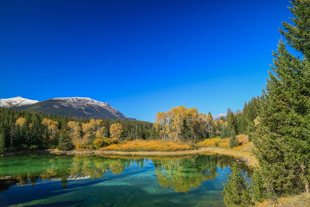 Planning A Canadian Rockies Road Trip: What To Do In Jasper In Fall ...