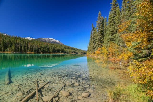 What to do in Jasper in fall - Canadian Rockies road trip