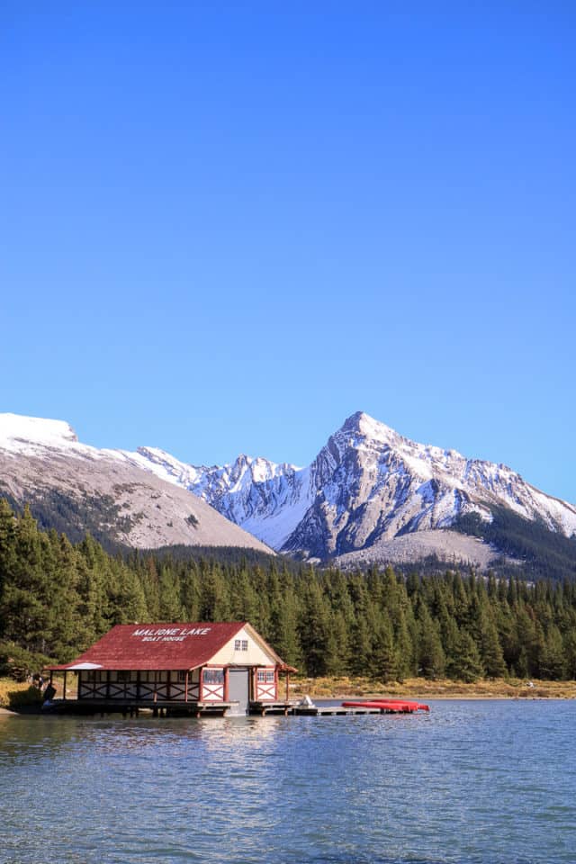 What to do in Jasper in fall - Canadian Rockies road trip