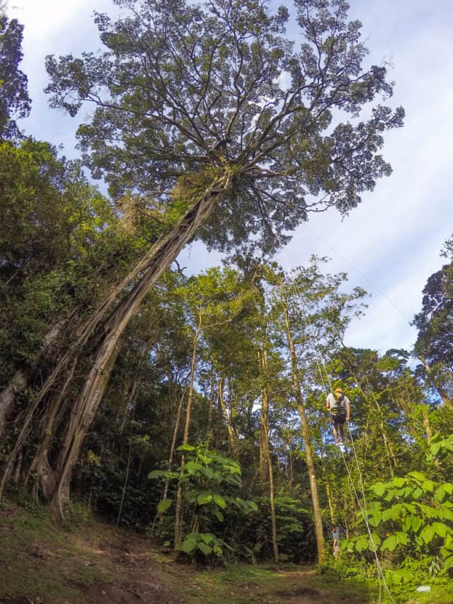 Unforgettable things to do in Costa Rica in November treetop climbing