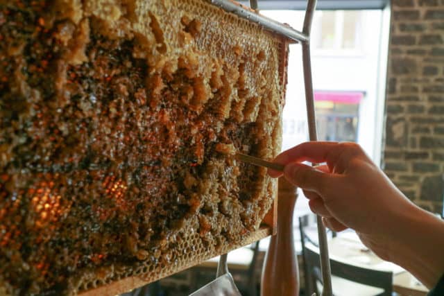 Quebec City Food Tour Honey Beehives