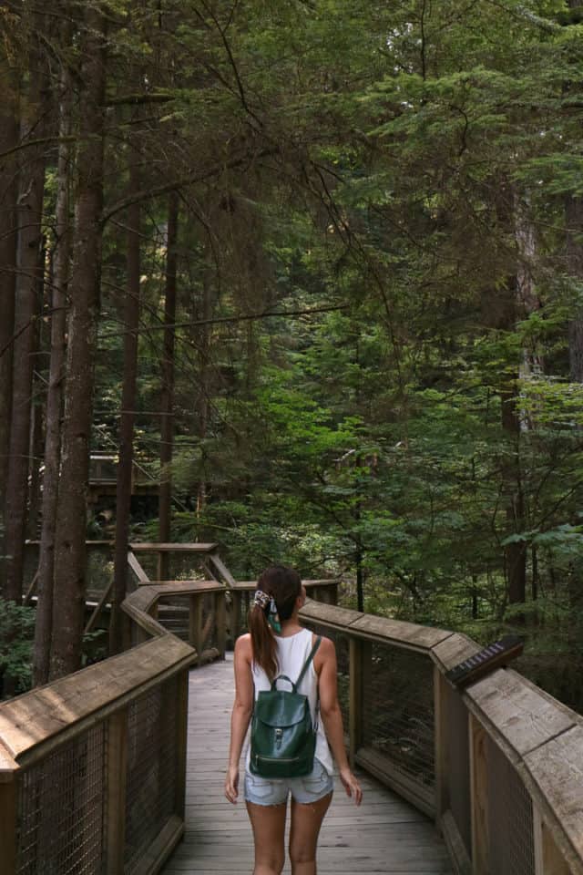 Things To Do In Vancouver Capilano Suspension Bridge