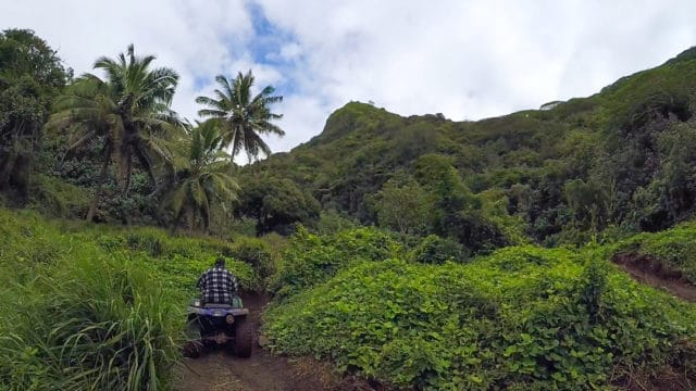 Quad Tour Rarotonga