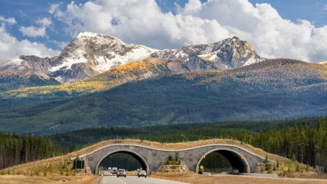 Trans-Canada Highway