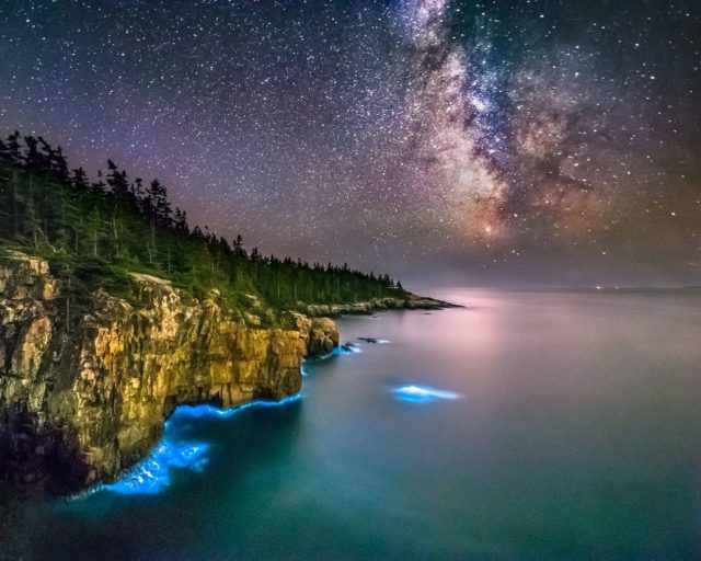 Bioluminescent Bay in Acadia Maine