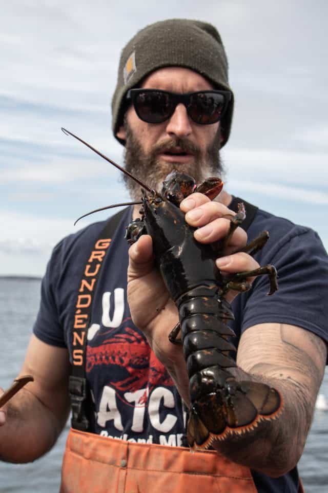 Maine Lobster Boat Tour