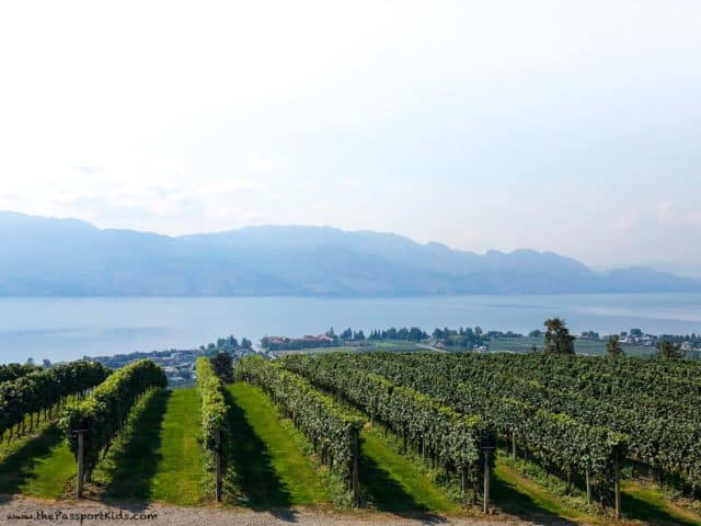 best wineries in kelowna