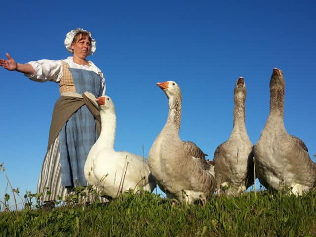 Louisbourg Top Places To Go In Nova Scotia