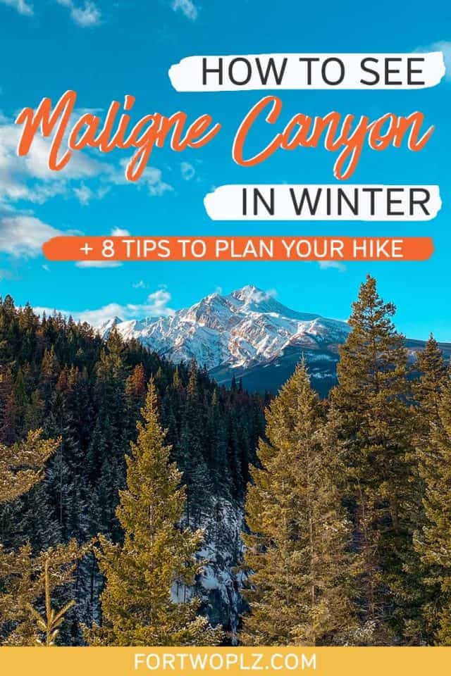 how to see maligne canyon in winter