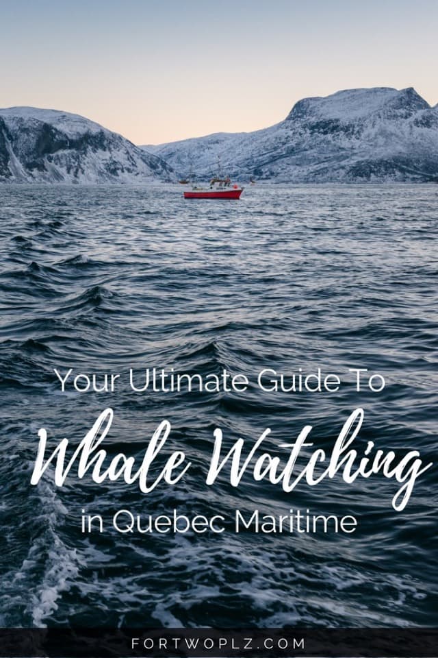 Whale watching is one of the best things to do in Quebec, Canada. Want to know the best spots to meet whales? And the best season for it? Check this post for everything you need to know to plan an epic whale watching adventure in Tadoussac, Quebec. #travealcanada #travelguide #tripplanning #traveltips #quebec #itinerary #thingstodo #adventuretravel #nature #wildlife #whalewatching #beluga #whales #humpback #humpbackwhales #belugawhale #bucketlist #traveldestinations #wanderlust #roadtrip