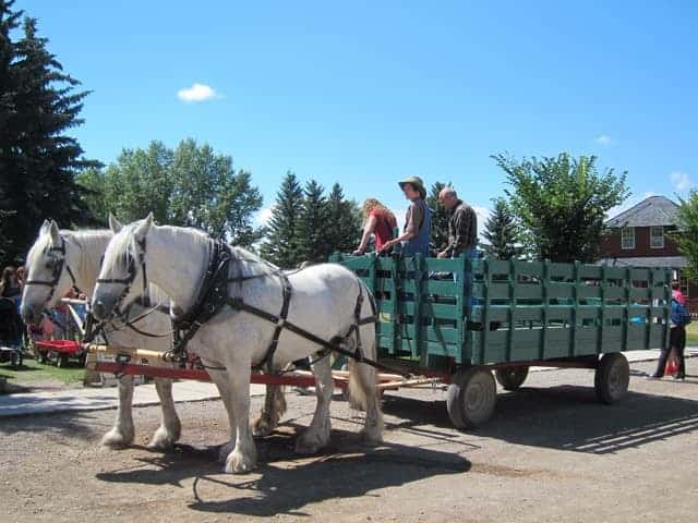 wagon ride heritage park