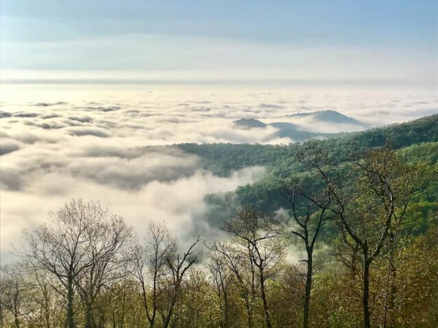 Shenandoah-National-Park-Overlook-Erin-Gifford-Go-Hike-Virginia_