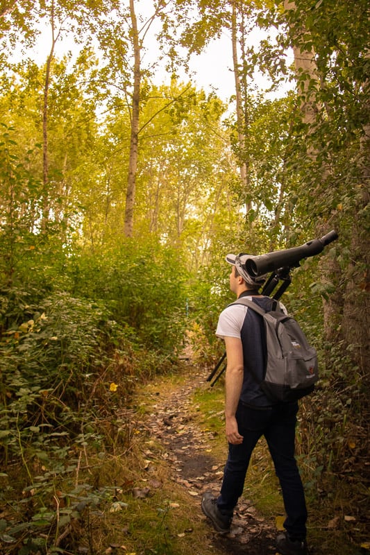 birding tour at Iona Beach Regional Park, Richmond, BC