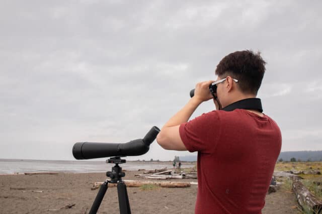 birdwatching at Iona Beach Regional Park, BC