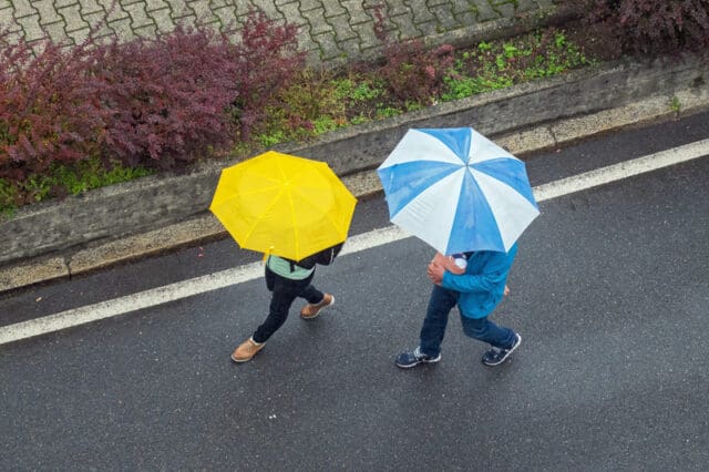 two persons walking with umbrella