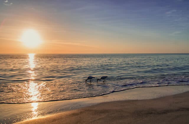 sunset at beach in sarasota, florida