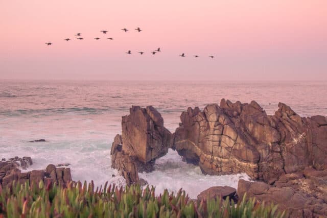 lovers point park monterey