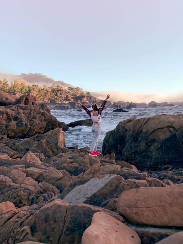 point lobos state natural reserve in central california, near big sur