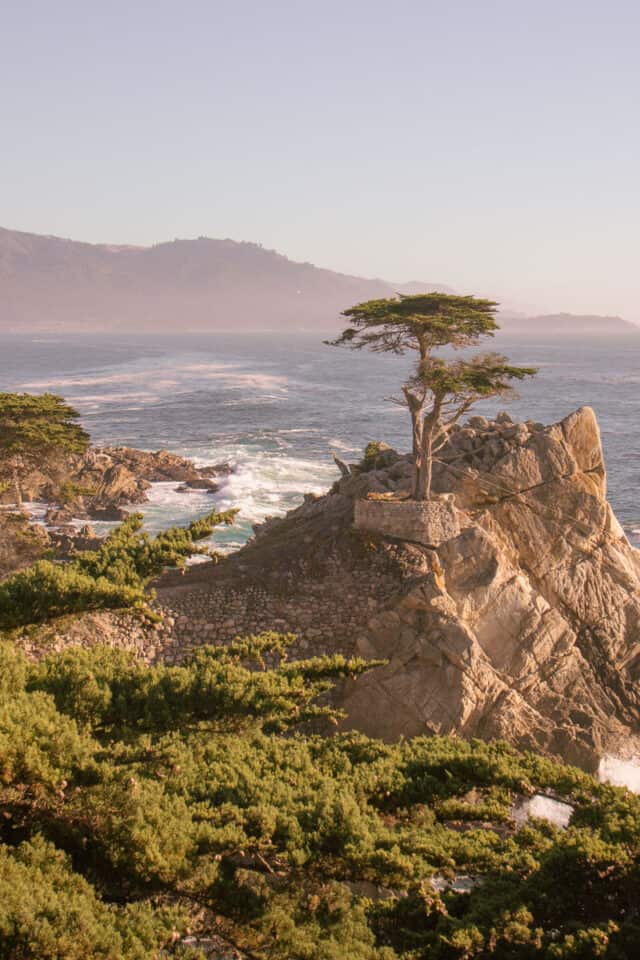 the lone cypress, a stop on 17-mile drive